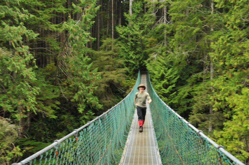 Suspension bridge in rainforest